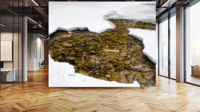 The frozen river, the water was covered with ice, white snow fell. Winter view, cold day. Wall mural