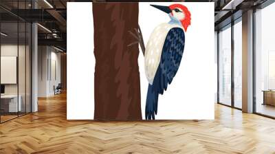 Woodpecker, bird on a tree, red head, black and white heating. Forest wild bird. Vector object on a white background. Wall mural