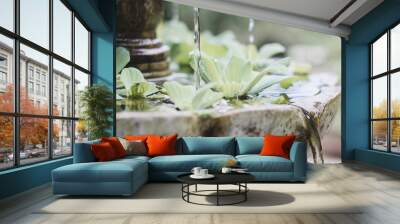 Small fountain with small plants in a garden. Relax concept Wall mural