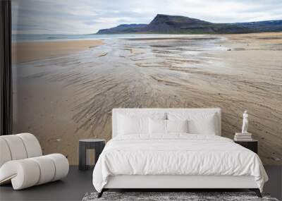 view of the veins created by water on the beach on a cloudy day Wall mural