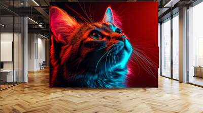 Close-up of a cat's face in vibrant blue and red light. Wall mural