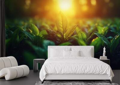 Young green plants reaching for the sun at sunset. Wall mural