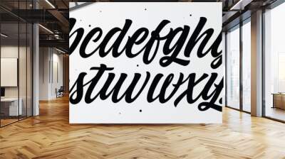 Vector set with hand written ABC letters isolated on white background. Hand Lettering and Typographic typeface for Designs: Logo, for Poster, Invitation, Card, etc. Brush Typography.  Wall mural