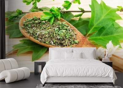 Spoon with spices and green leaves Wall mural