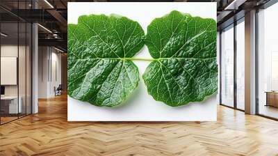 closeup of a lush green grape leaf showcasing its intricate veins and vibrant color against a pure white background emphasizing natural beauty and detail Wall mural