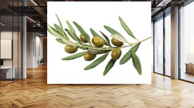 olive branch with green olives on a white background isolated Wall mural