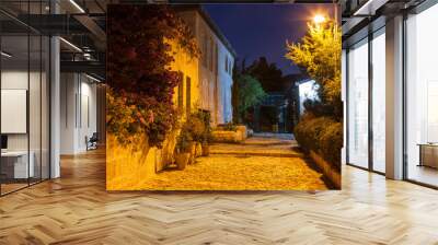 The old Jerusalem neighborhood of Mishkenot Shaananim or Yamin Moshe in the evening illumination. Israel Wall mural