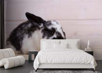 little rabbit eating food from a glass bowl on wooden light background Wall mural