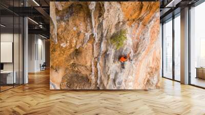 A rock climber ascends to the summit via a difficult route. Wall mural