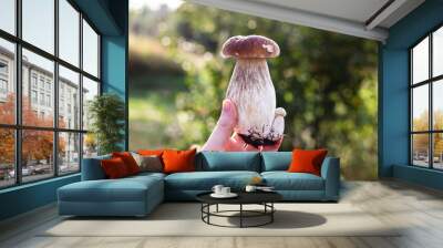 
big white mushroom in hand Wall mural