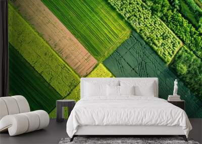 Aerial view of beautiful green agricultural fields and scenic natural landscape from above Wall mural