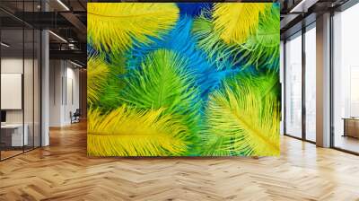 Brazilian background from feathers in the Brazilian ethnic color. Rio carnival, mardi gras background Wall mural