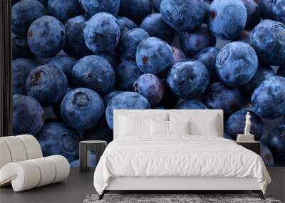 fresh blueberry bounty. close-up of ripe juicy blueberries filling the frame with vibrant color. Wall mural