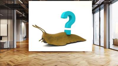 3D illustration of snail with the question mark Wall mural