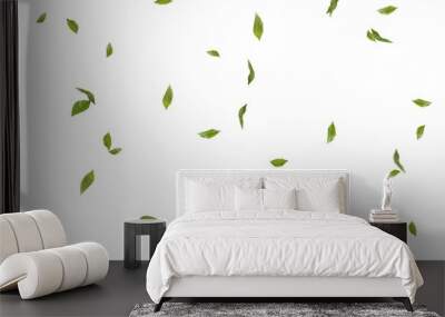 Green Tree leaves Stock Image In White Background Wall mural