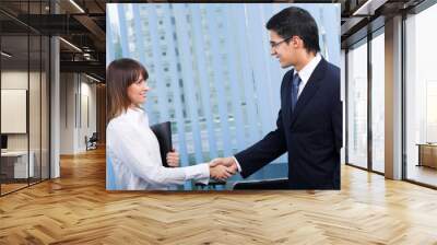 two businesspeople, or businessman and client, handshaking Wall mural