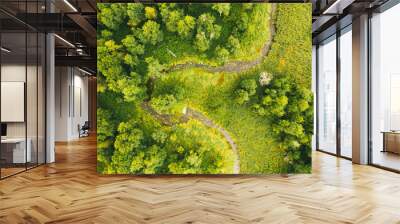 Aerial drone view of winding river in greenfield. Lush wetlands of bird's eye view. Discover the beauty of earth. Wall mural