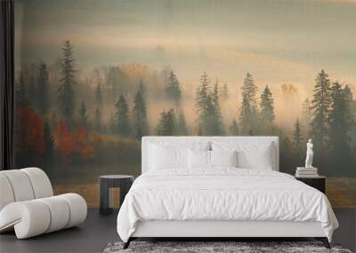 Sunny sunrise in autumn mountains. Mountains in a fog illuminated by rising sun. Autumn landscape with vivid sunlight.  Wall mural