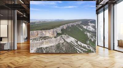 Aerial view of Belbek canyon in Crimea Wall mural