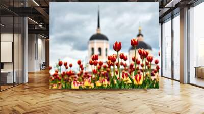 Beautiful purple tulips on church background Wall mural