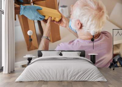 African American caregiver providing food for an elderly person Wall mural