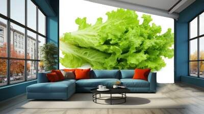 Fresh green lettuce leaf isolated on white background Wall mural