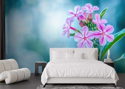 Serene pink phlox flowers blooming in springtime garden Wall mural