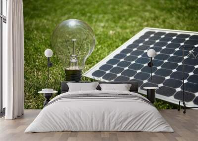 Sustainable energy concept with solar panel light bulb on grass Wall mural