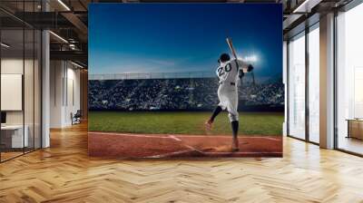 Baseball Wall mural