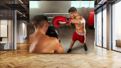 Boxing sparring boxers Wall mural