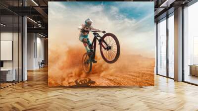 Cyclist riding a bicycle. Downhill. Wall mural