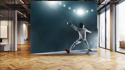 Fencing Wall mural