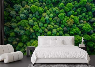 Top down drone view of lush green forest background, nature, trees, foliage, aerial, environment, scenery Wall mural