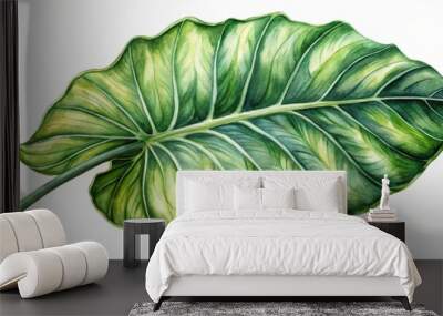 Watercolor painting of a detailed Alocasia leaf , tropical, botanical, nature, green, vibrant, textured,exotic, plant Wall mural