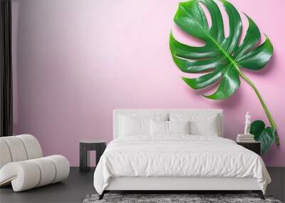 tropical monstera leaf on a pink summer background  banner  space for text  flat lay Wall mural