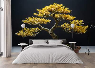 A bonsai tree with yellow leaves grows in a brown pot against a dark background Wall mural