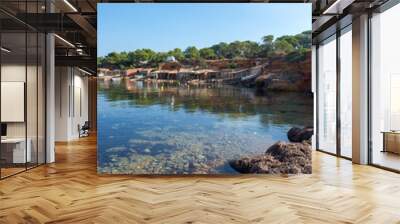 Cala pou des lleo in ibiza with a blue sky Wall mural