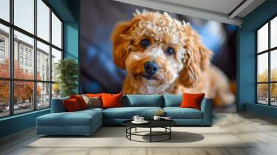 A small brown dog with a pink collar is sitting on a couch. The dog has a cute, innocent expression on its face Wall mural