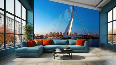 Erasmus bridge Rotterdam panorama Wall mural