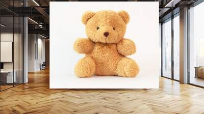 Brown teddy bear on a white background. Wall mural