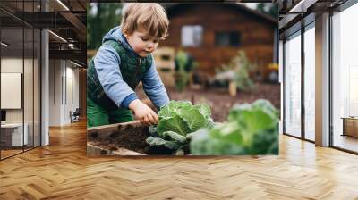 Child boy in the vegetable garden growing cabbage and harvesting, spring and farming in the household Wall mural