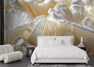 Group of white mushrooms on clean background for health and wellness concept Wall mural