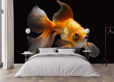 Realistic goldfish on a black background. Generative AI. Wall mural