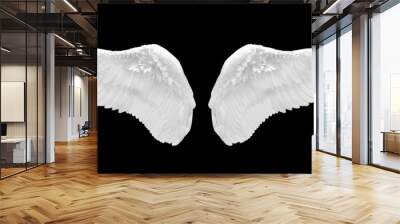 white wing isolated Wall mural