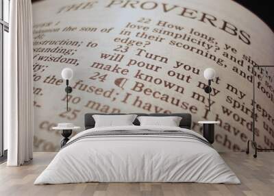 Bible Proverbs of Solomon title page Wall mural