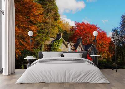 autumn in lake district Wall mural