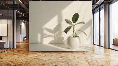 A potted plant in soft sunlight against a minimalist background, showcasing elegance through simplicity and natural beauty. Wall mural