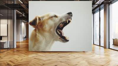 A white and brown dog yawns with its eyes closed and mouth wide open against a plain background, showcasing its sharp teeth in a moment of relaxation. Wall mural