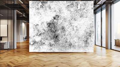 Black and white scratched grunge isolated on background, old film effect. Distressed retro paper abstract stock illustration cracked texture overlays for space or text. Wall mural