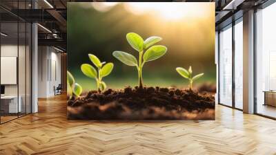 close up of vibrant green plant shoots emerging from rich soil under warm sunlight symbolizing growth and renewal in nature Wall mural